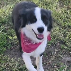 Meet your Posher, Jo